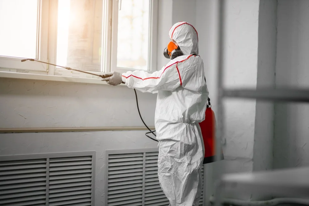 Professional mold remediation services in Great River, NY